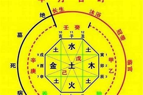 捉用神|八字捉用神是什么意思